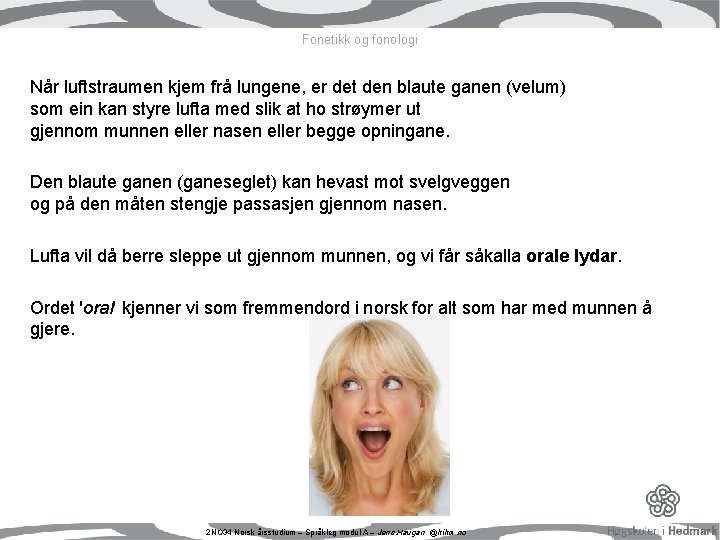 Fonetikk og fonologi Når luftstraumen kjem frå lungene, er det den blaute ganen (velum) Fonetikk og fonologi Når luftstraumen kjem frå lungene, er det den blaute ganen (velum)
