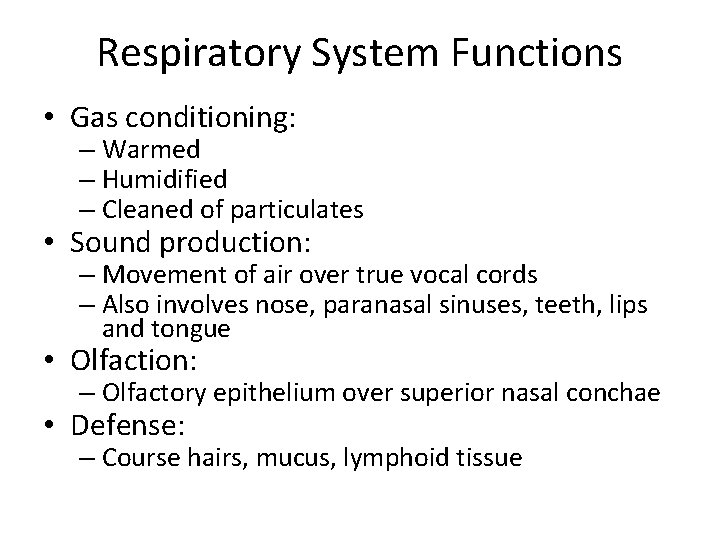 Respiratory System Functions • Gas conditioning: – Warmed – Humidified – Cleaned of particulates