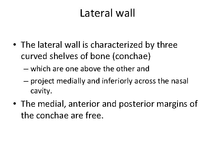 Lateral wall • The lateral wall is characterized by three curved shelves of bone