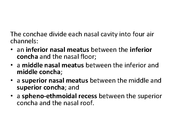 The conchae divide each nasal cavity into four air channels: • an inferior nasal
