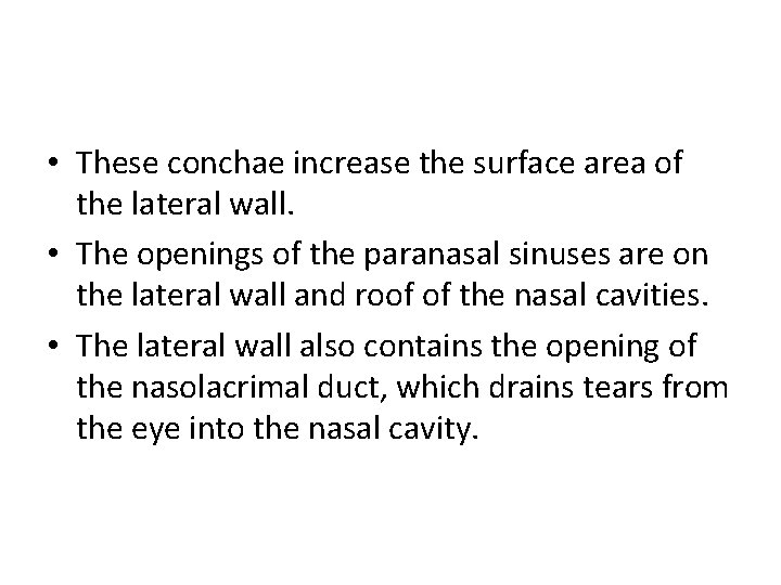  • These conchae increase the surface area of the lateral wall. • The