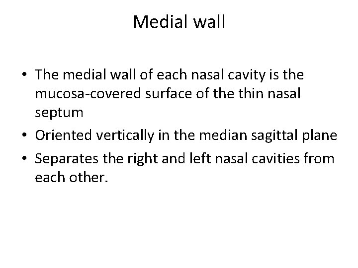 Medial wall • The medial wall of each nasal cavity is the mucosa-covered surface