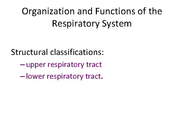 Organization and Functions of the Respiratory System Structural classifications: – upper respiratory tract –