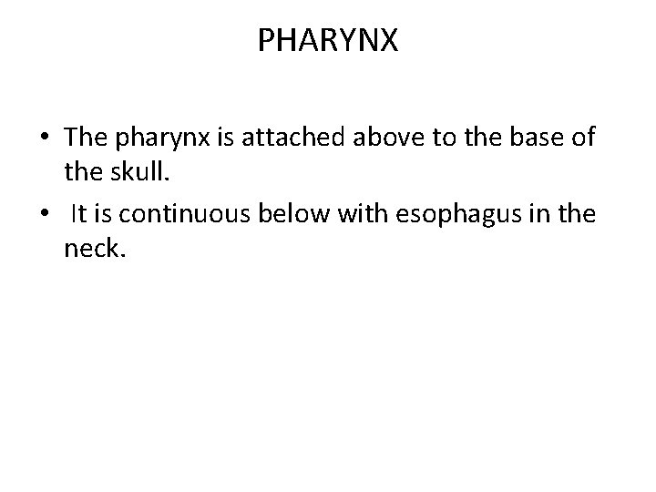 PHARYNX • The pharynx is attached above to the base of the skull. •