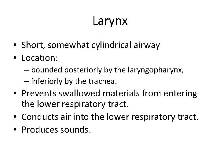 Larynx • Short, somewhat cylindrical airway • Location: – bounded posteriorly by the laryngopharynx,