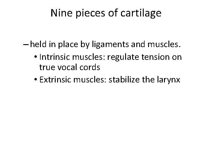 Nine pieces of cartilage – held in place by ligaments and muscles. • Intrinsic