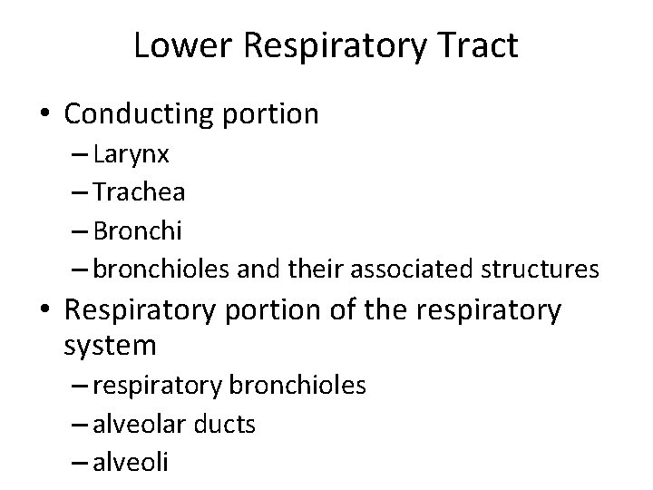 Lower Respiratory Tract • Conducting portion – Larynx – Trachea – Bronchi – bronchioles