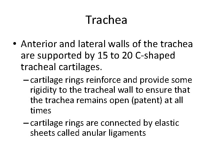 Trachea • Anterior and lateral walls of the trachea are supported by 15 to