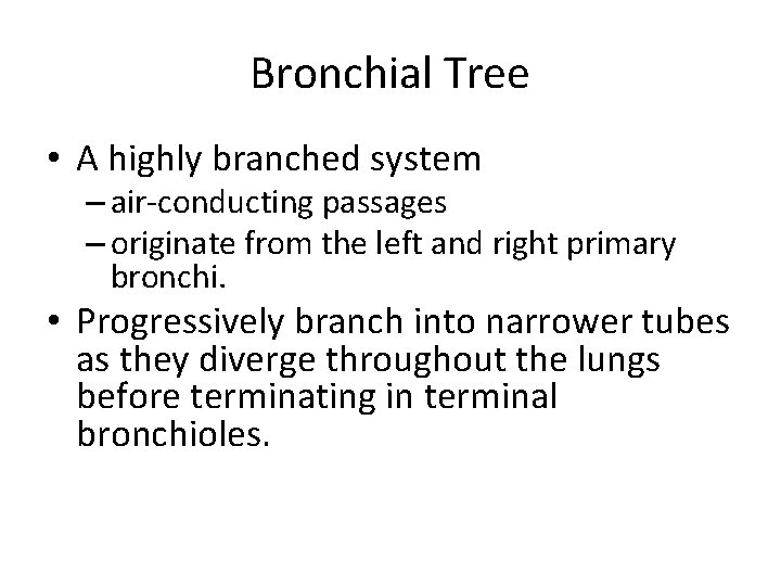 Bronchial Tree • A highly branched system – air-conducting passages – originate from the