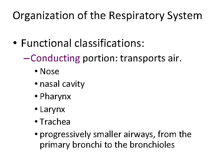 Organization of the Respiratory System • Functional classifications: – Conducting portion: transports air. •