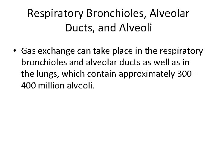 Respiratory Bronchioles, Alveolar Ducts, and Alveoli • Gas exchange can take place in the
