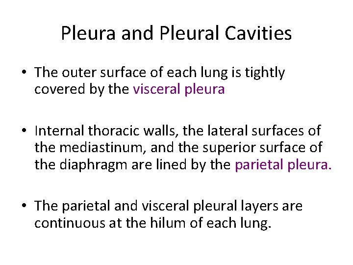 Pleura and Pleural Cavities • The outer surface of each lung is tightly covered