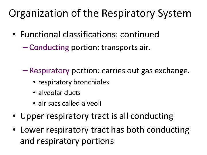 Organization of the Respiratory System • Functional classifications: continued – Conducting portion: transports air.