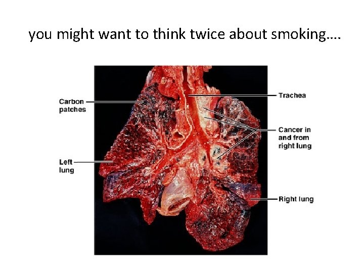 you might want to think twice about smoking…. 72 