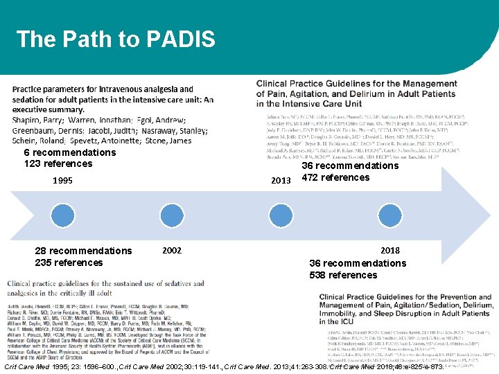 The Path to PADIS 6 recommendations 123 references 1995 28 recommendations 235 references 2013
