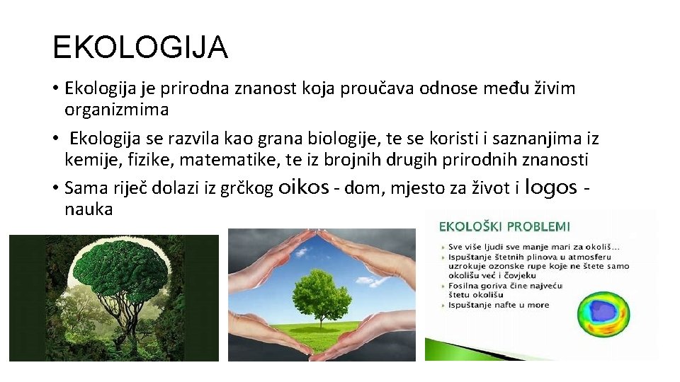 EKOLOGIJA • Ekologija je prirodna znanost koja proučava odnose među živim organizmima • Ekologija