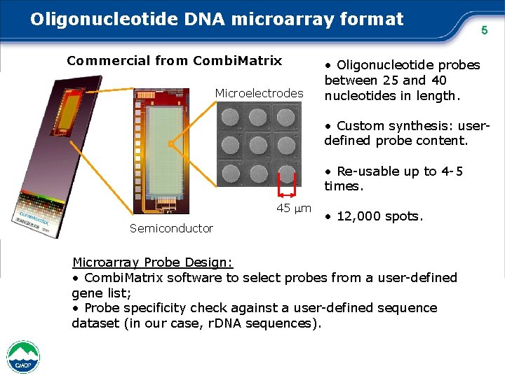 Oligonucleotide DNA microarray format Commercial from Combi. Matrix Microelectrodes 5 • Oligonucleotide probes between