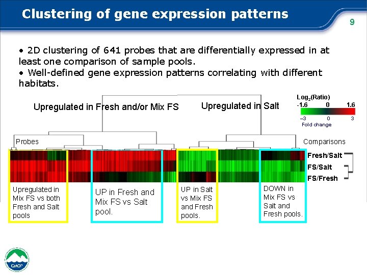 Clustering of gene expression patterns 9 • 2 D clustering of 641 probes that