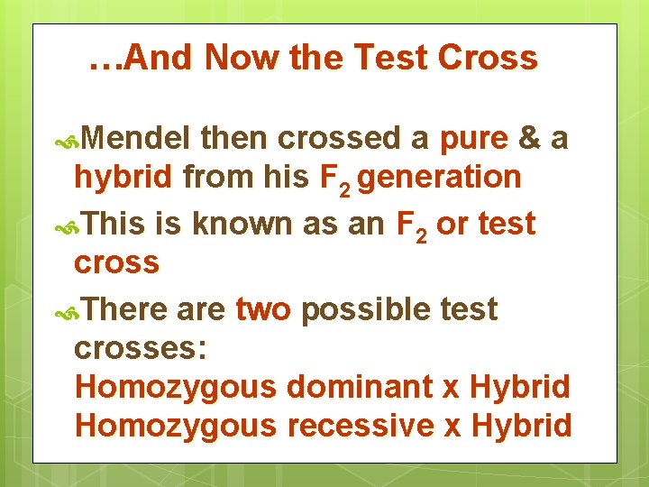 …And Now the Test Cross Mendel then crossed a pure & a hybrid from