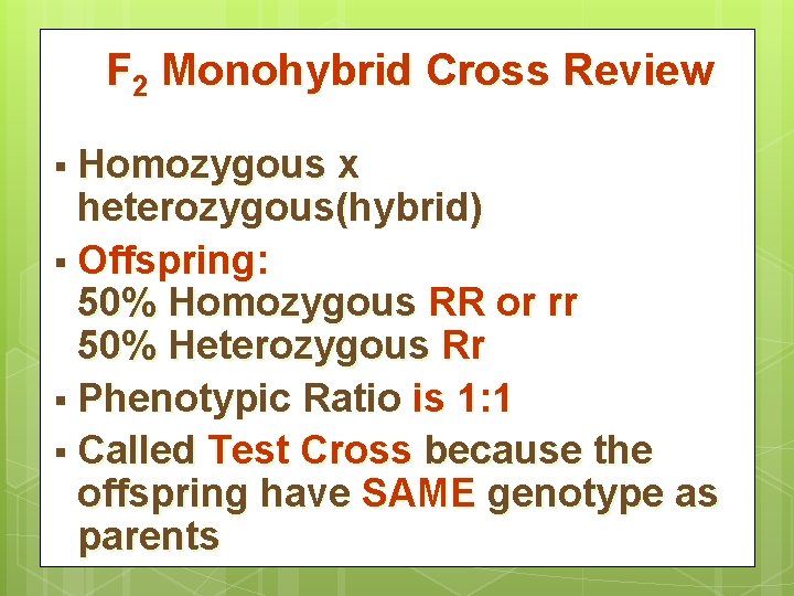 F 2 Monohybrid Cross Review § Homozygous x heterozygous(hybrid) § Offspring: 50% Homozygous RR