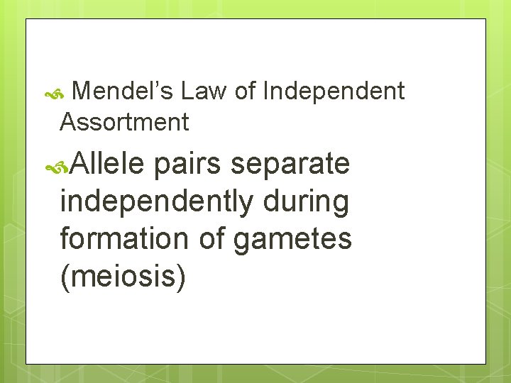 Mendel’s Law of Independent Assortment Allele pairs separate independently during formation of gametes (meiosis)