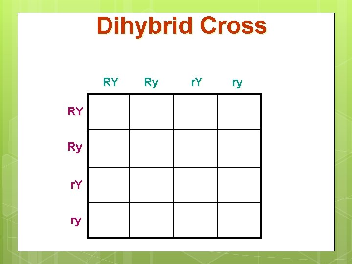 Dihybrid Cross RY RY Ry r. Y ry 