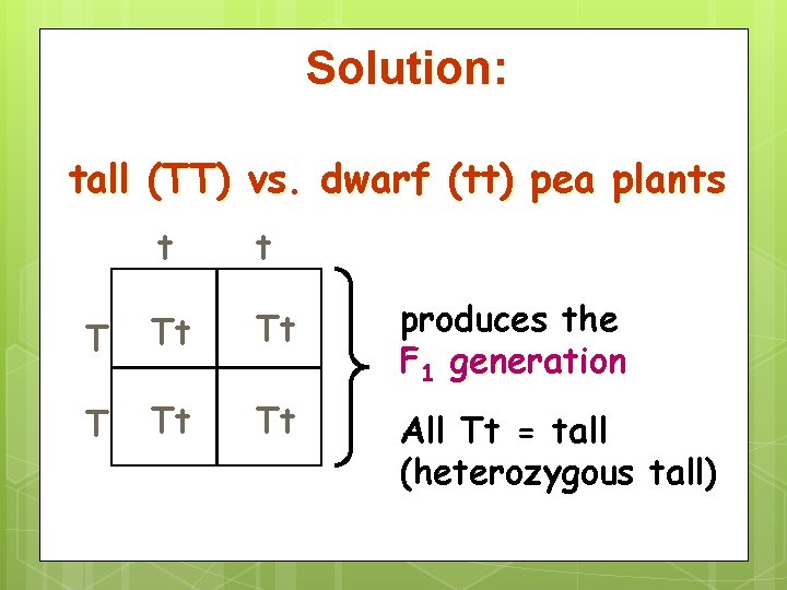 Solution: tall (TT) vs. dwarf (tt) pea plants t t T Tt Tt produces