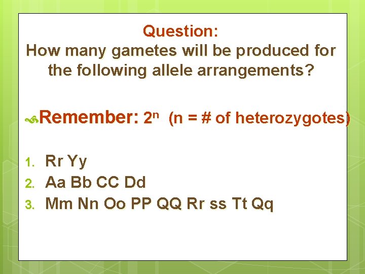 Question: How many gametes will be produced for the following allele arrangements? Remember: 2