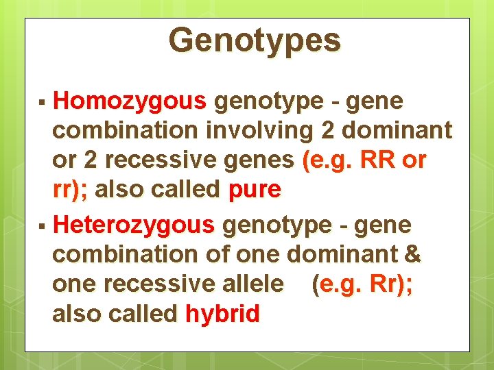 Genotypes § Homozygous genotype - gene combination involving 2 dominant or 2 recessive genes