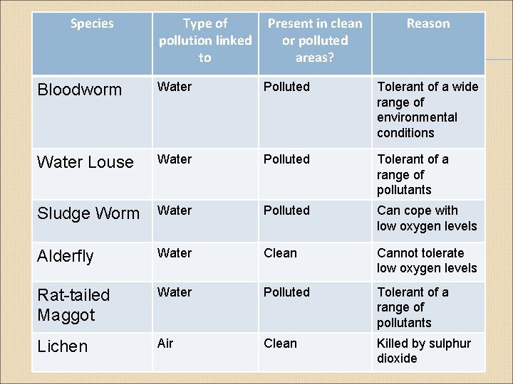 Species Type of pollution linked to Present in clean or polluted areas? Reason Bloodworm