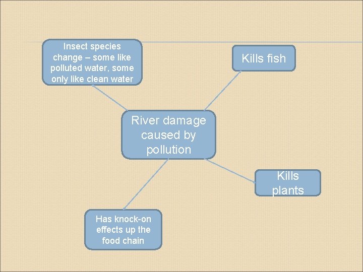 Insect species change – some like polluted water, some only like clean water Kills