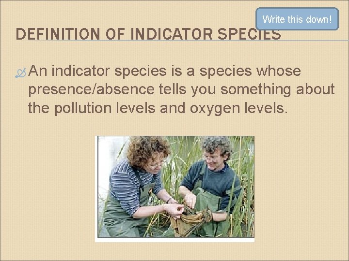 Write this down! DEFINITION OF INDICATOR SPECIES An indicator species is a species whose