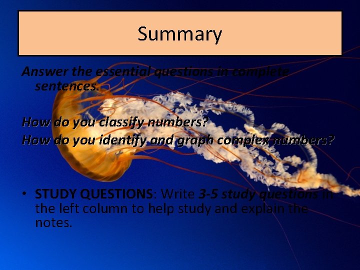 Summary Answer the essential questions in complete sentences. How do you classify numbers? How