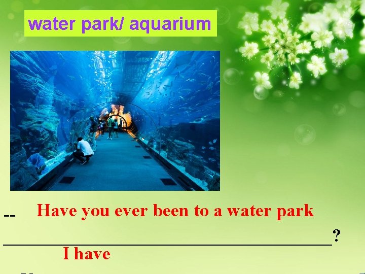 water park/ aquarium -- Have you ever been to a water park __________________? I