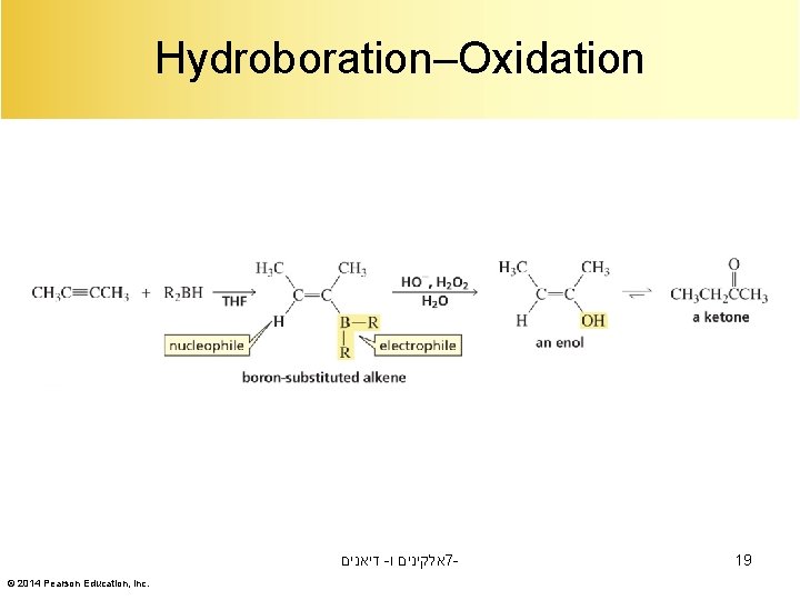 Hydroboration–Oxidation דיאנים - אלקינים ו 7© 2014 Pearson Education, Inc. 19 