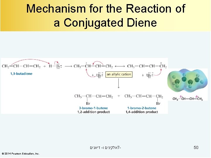 Mechanism for the Reaction of a Conjugated Diene דיאנים - אלקינים ו 7© 2014