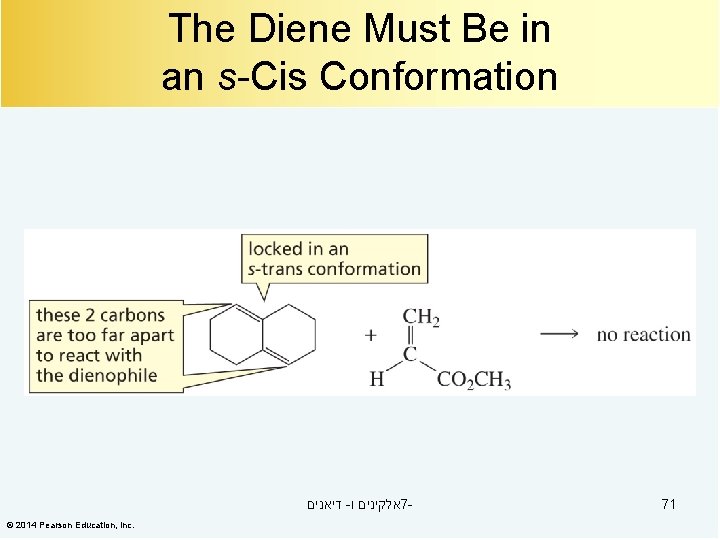 The Diene Must Be in an s-Cis Conformation דיאנים - אלקינים ו 7© 2014