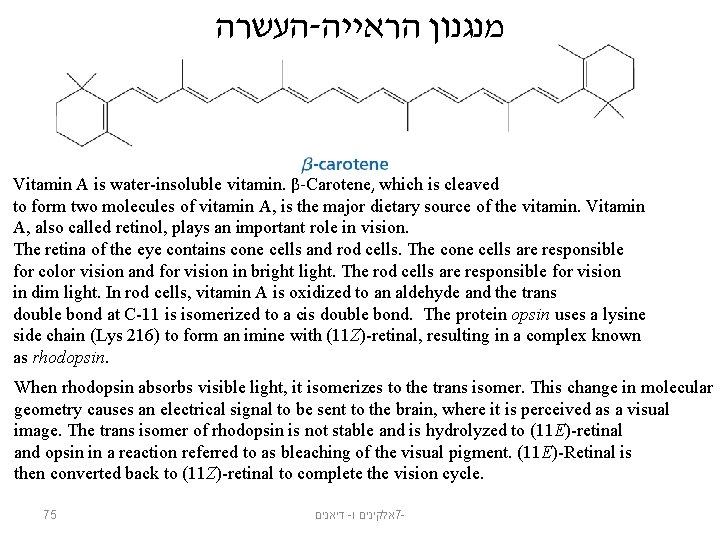  העשרה - מנגנון הראייה Vitamin A is water-insoluble vitamin. β-Carotene, which is cleaved