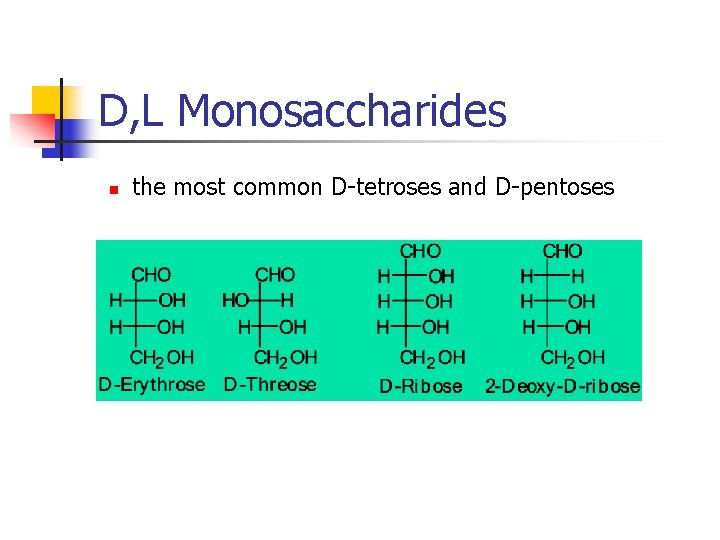 D, L Monosaccharides n the most common D-tetroses and D-pentoses 