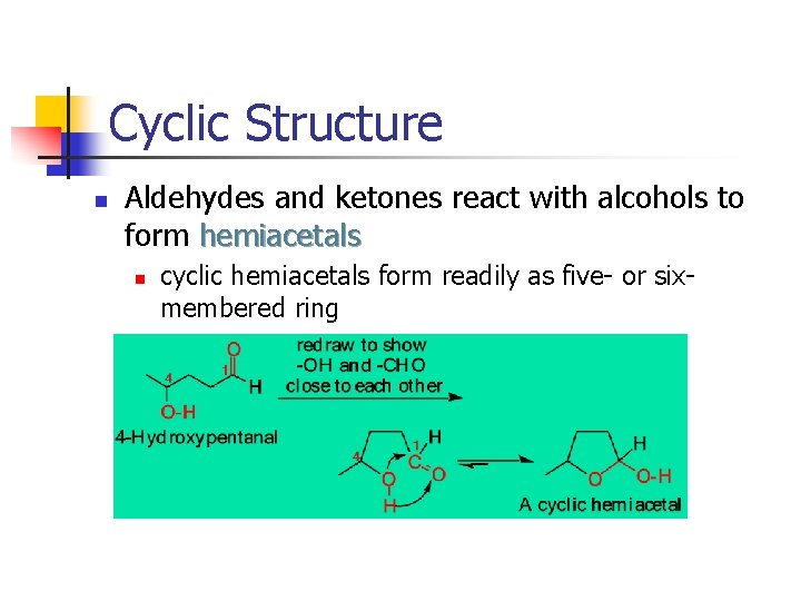 Cyclic Structure n Aldehydes and ketones react with alcohols to form hemiacetals n cyclic