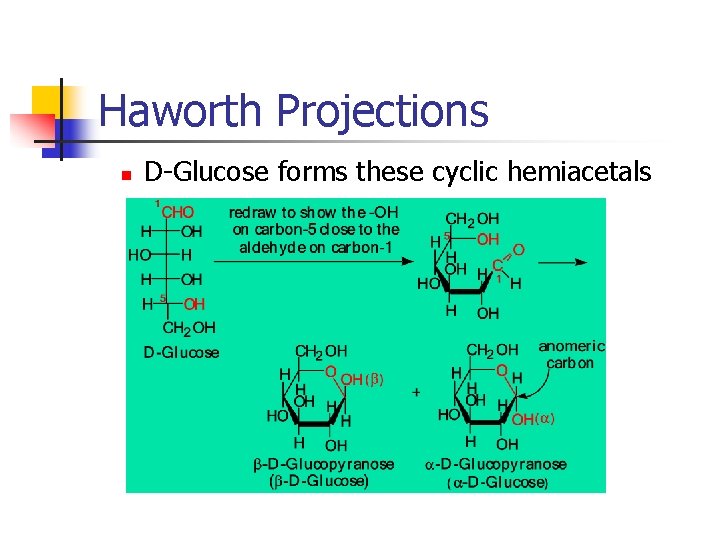 Haworth Projections n D-Glucose forms these cyclic hemiacetals 