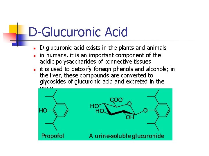 D-Glucuronic Acid n n n D-glucuronic acid exists in the plants and animals in