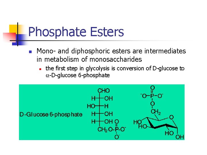 Phosphate Esters n Mono- and diphosphoric esters are intermediates in metabolism of monosaccharides n