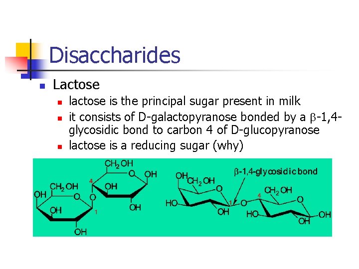 Disaccharides n Lactose n n n lactose is the principal sugar present in milk