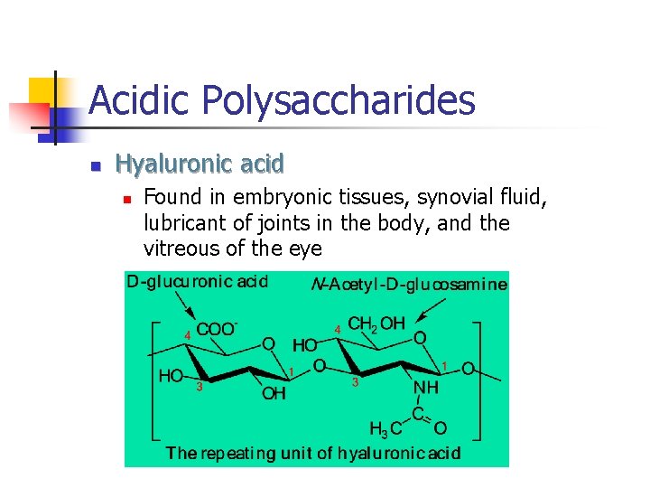 Acidic Polysaccharides n Hyaluronic acid n Found in embryonic tissues, synovial fluid, lubricant of