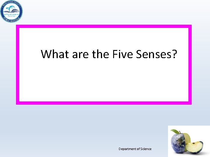 What are the Five Senses? Department of Science 