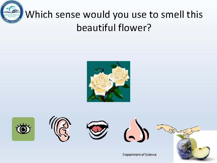 Which sense would you use to smell this beautiful flower? Department of Science 