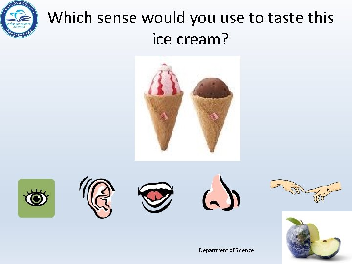 Which sense would you use to taste this ice cream? Department of Science 