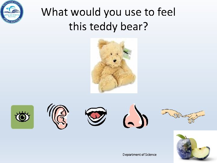 What would you use to feel this teddy bear? Department of Science 