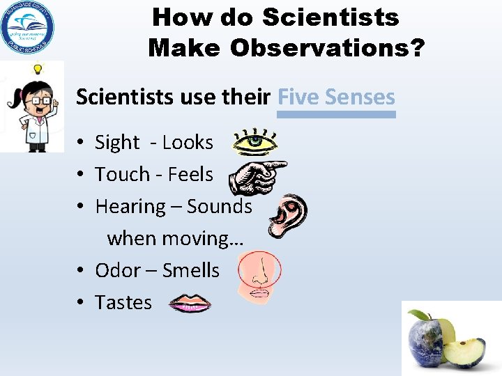 How do Scientists Make Observations? Scientists use their Five Senses • Sight - Looks